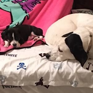 Meet your Posher, Tiffany